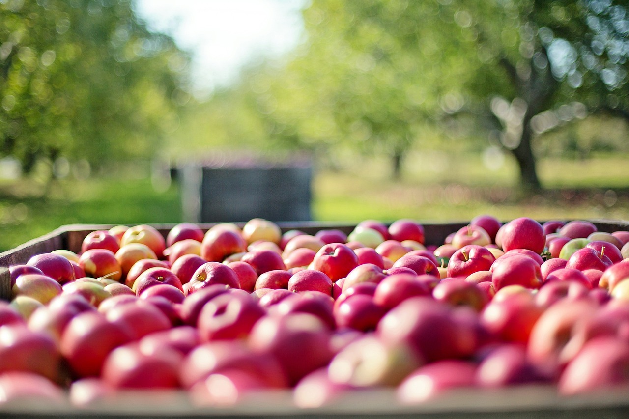 How Blockchain Can Empower Local Farmers and Producers